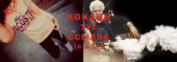 мдпв Вязьма
