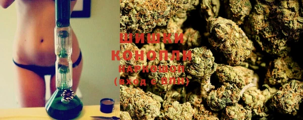 мдпв Вязьма
