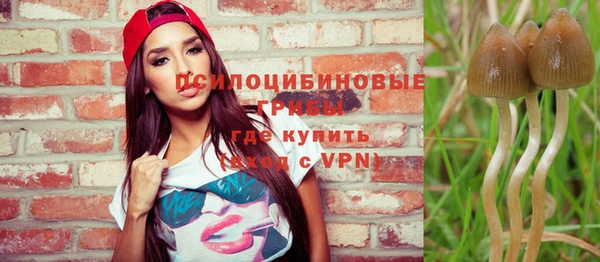 мдпв Вязьма