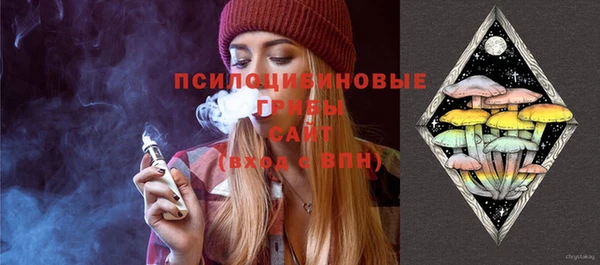 мдпв Вязьма