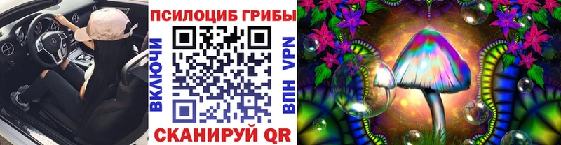 hydra рабочий сайт  Ермолино  Псилоцибиновые грибы Cubensis 